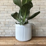 Hudson & Oak Hudson & Oak - ARC pot White