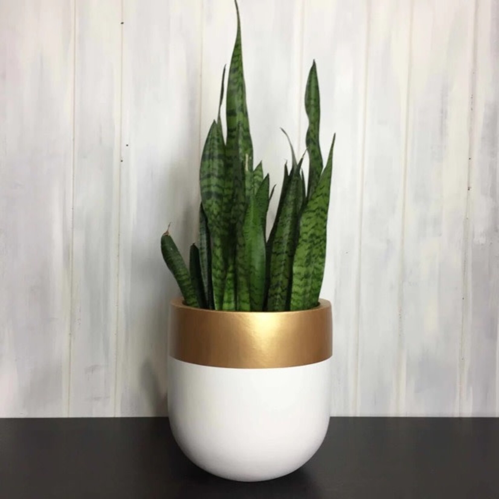 Common House - Aurum Pot White / Gold Medium (6")