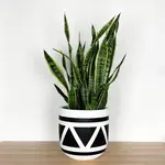 Common House - Aztec Pot White / Black Large (10")