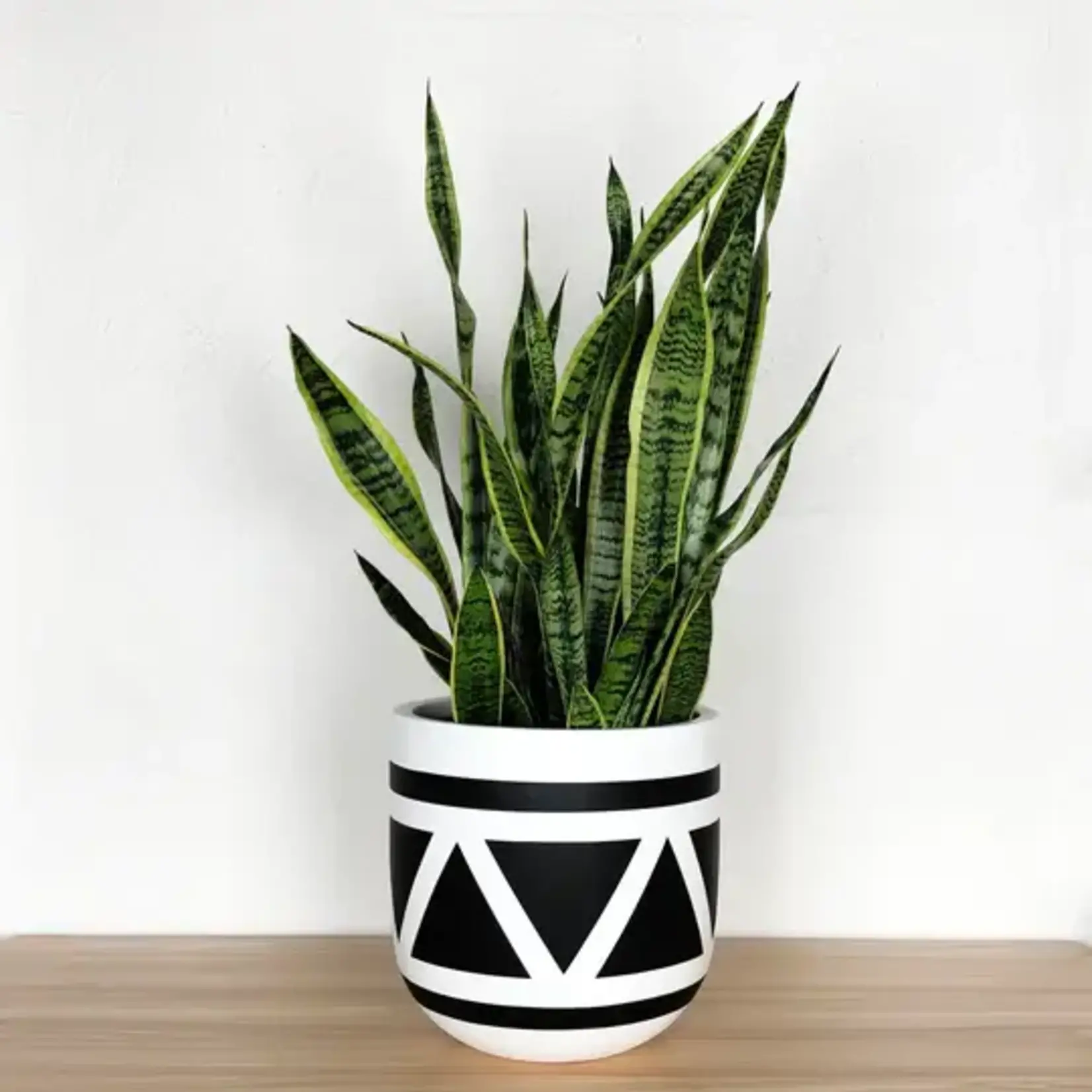 Common House - Aztec Pot White / Black Large (10")