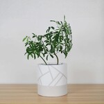 Common House - Cylinder Pot Directional Mushroom Large (fits 10")