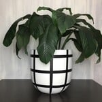 Common House - Grid pot Large (10")