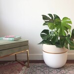 Common House Common House - Gala Pot Baked Clay XL (14")