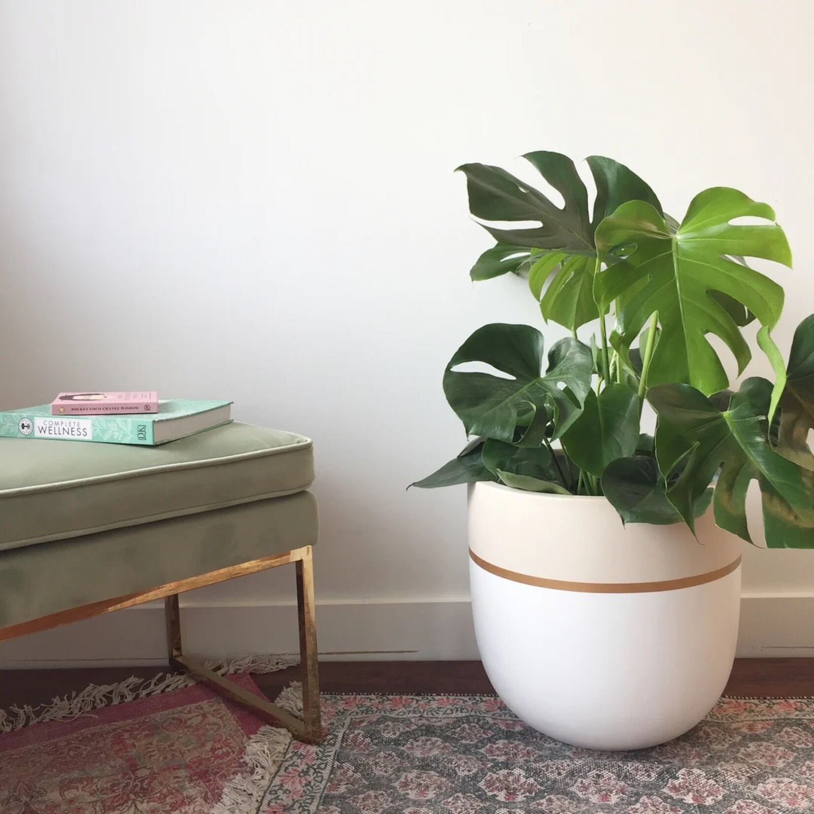 Common House Common House - Gala Pot Baked Clay XL (14")