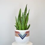 Common House - Marrakesh Pot Navy Large (10")