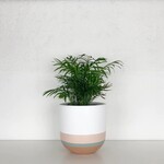 Common House - Overlay Baked Clay Pot Large (fits 10")
