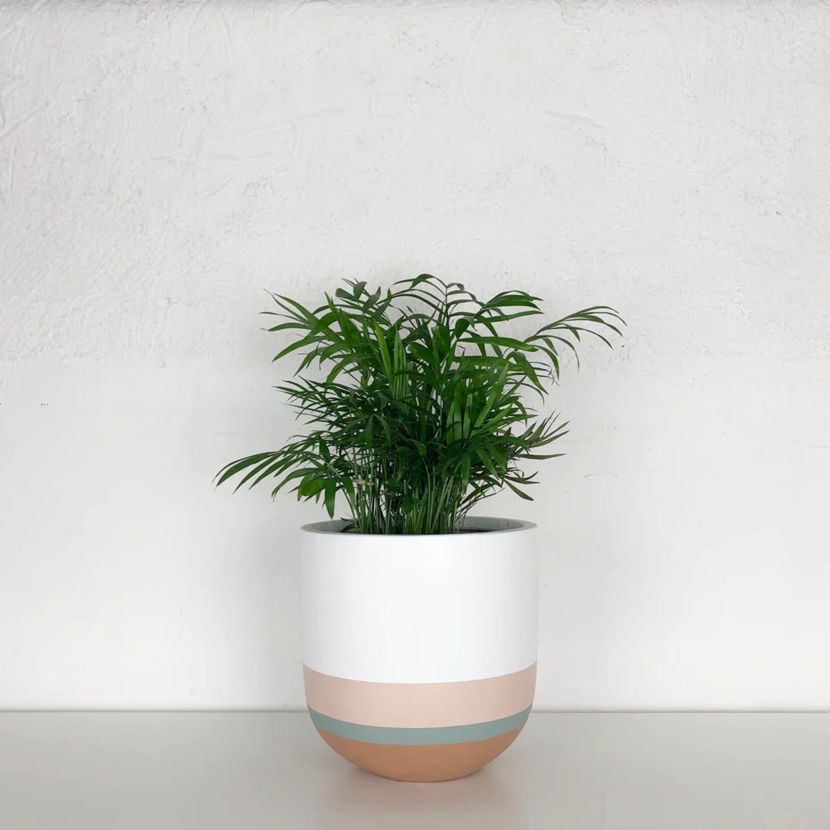 Common House - Overlay Baked Clay Pot Large (fits 10")
