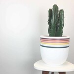 Common House - Retro Pot White Large (10")