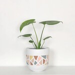 Common House - Terrazzo Pot Baked Clay Large (fits 10")