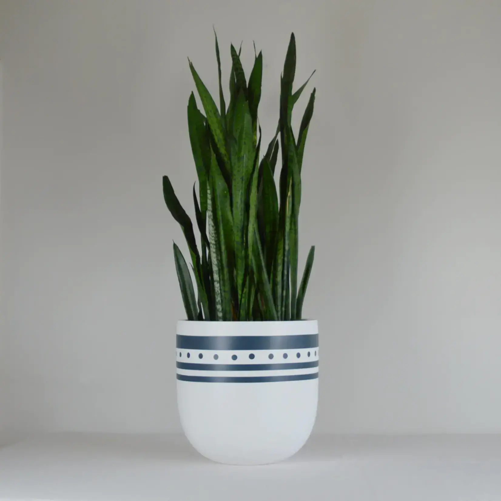 Common House - Pixy Pot French Navy XL (fits 14")