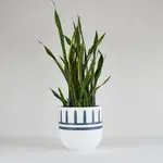 Common House -  Reign Pot Navy Large (10")