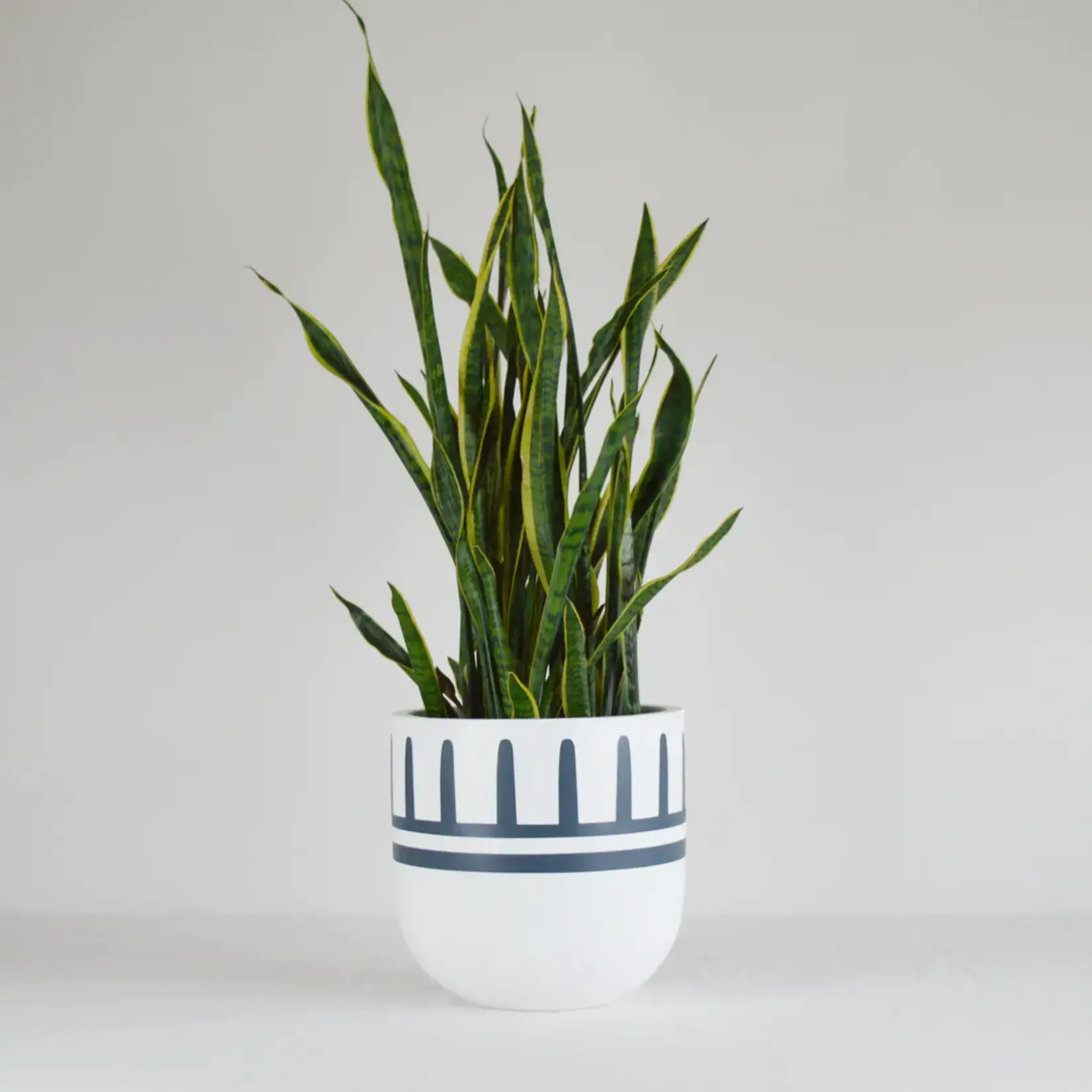 Common House -  Reign Pot Navy Large (10")