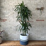 Common House  - Cylinder Pot Reflection Navy Large (fits 12")