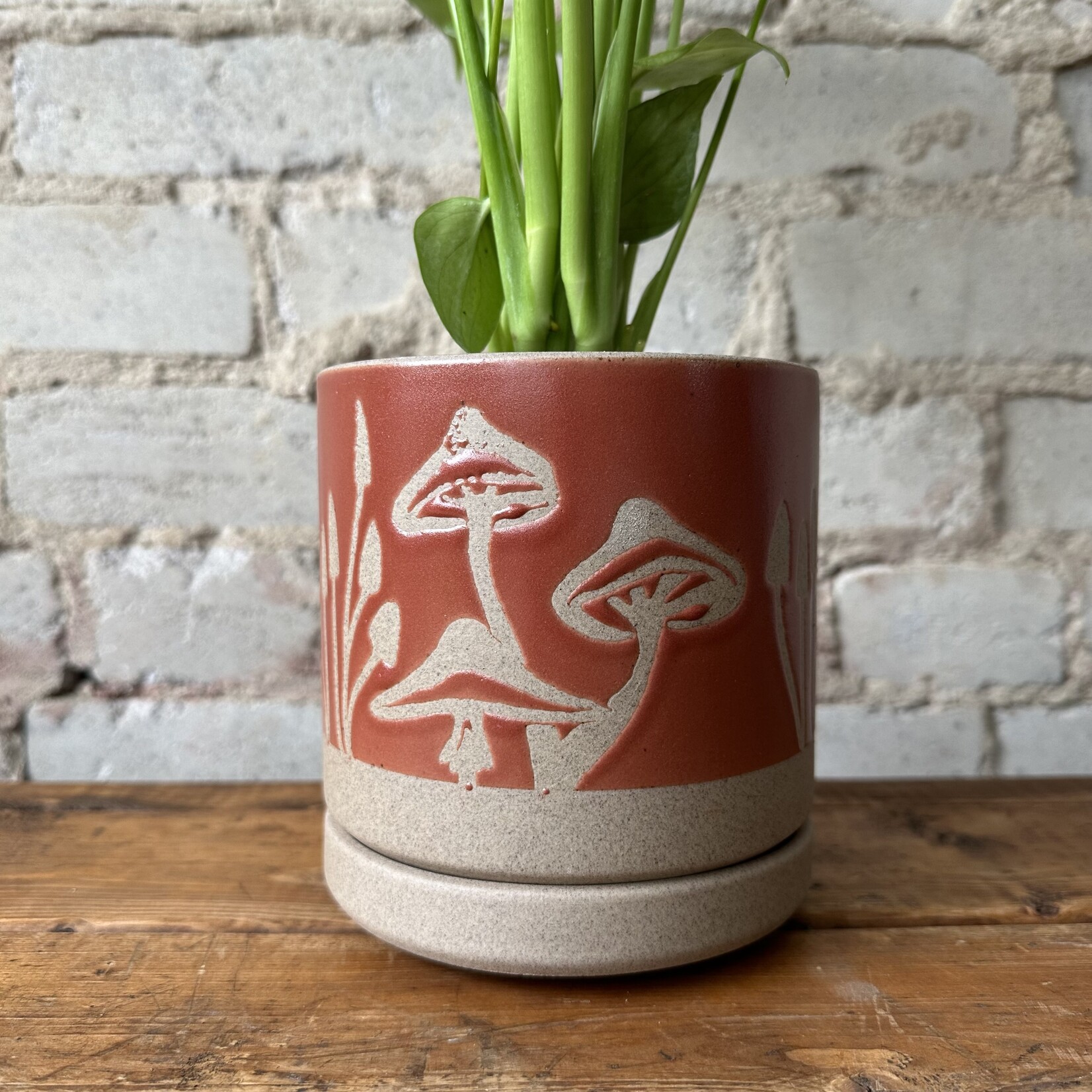 Assorted Pots Scavenger Pot (fits 5")
