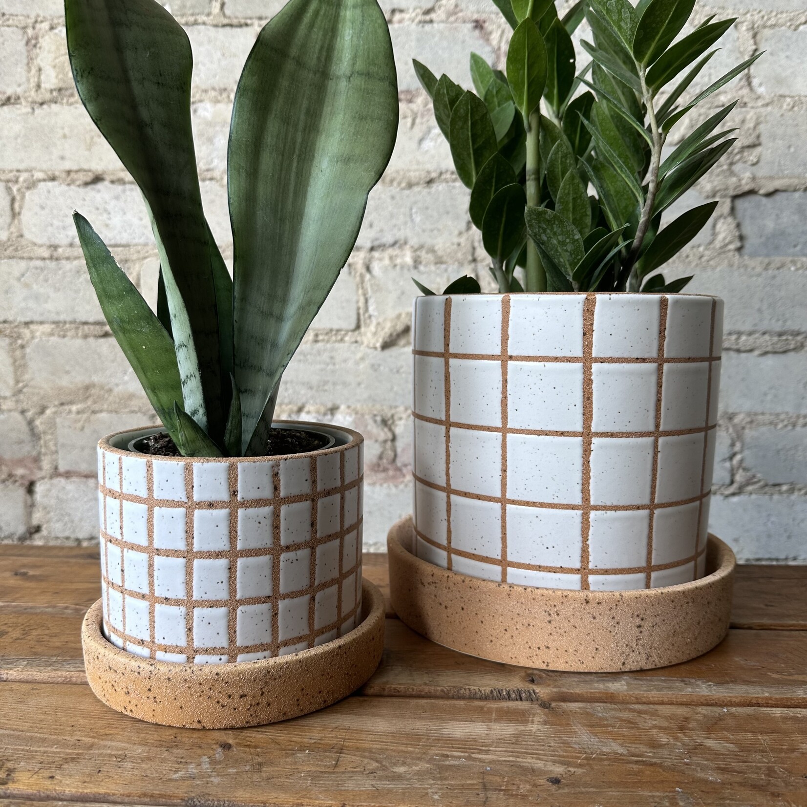 Gridline Pot (fits 6")