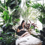 5 Tips To Styling Your Plant Collection