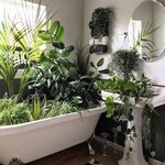 Advanced Plant Care: What To Do Before You Go On Vacation