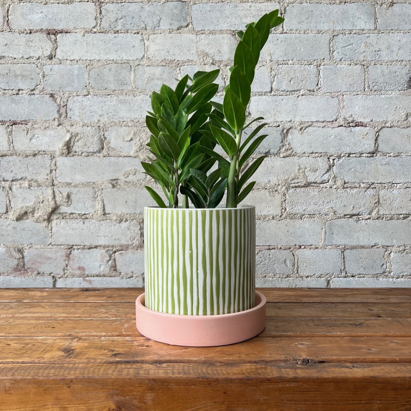 Assorted Pots Melancia Pot (fits 6")