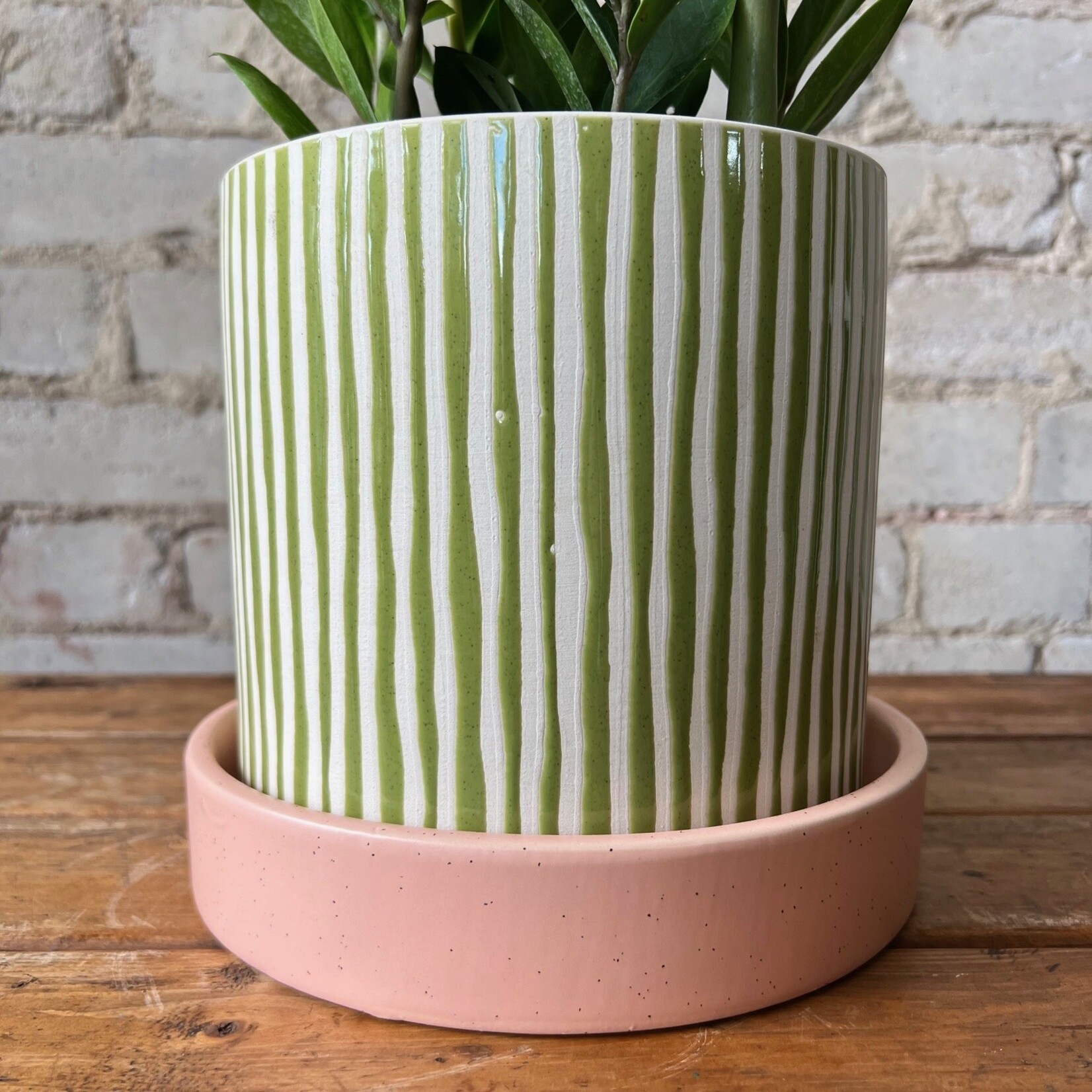 Assorted Pots Melancia Pot (fits 6")