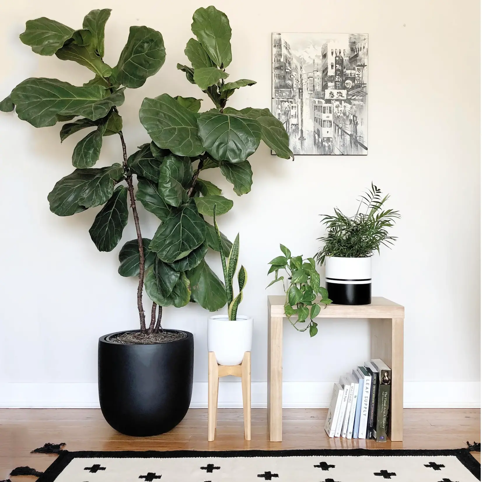 Common House Common House - Essential Pot Black Large (fits 10")