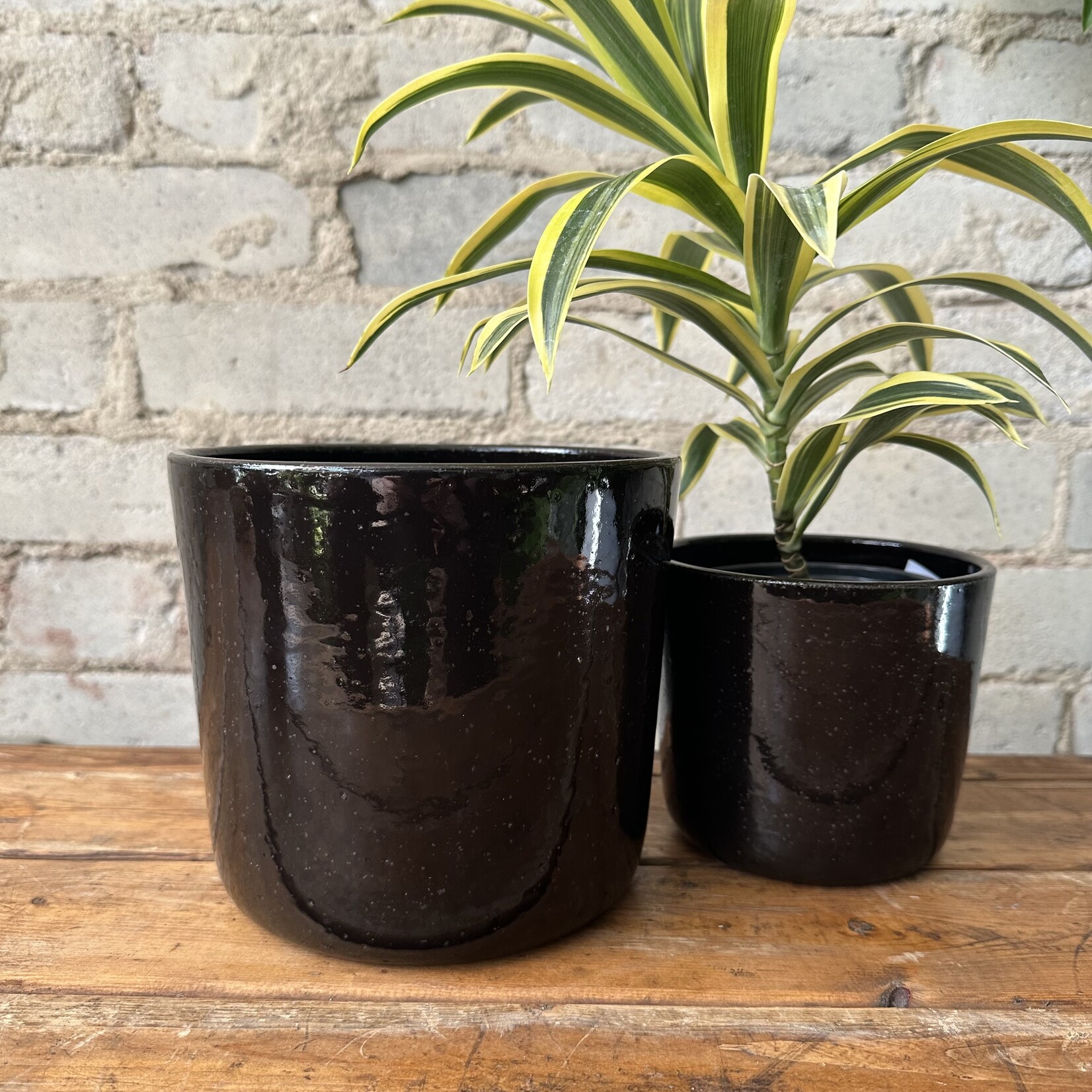 Jae Polgar Ceramics: Night Sky 6.25"