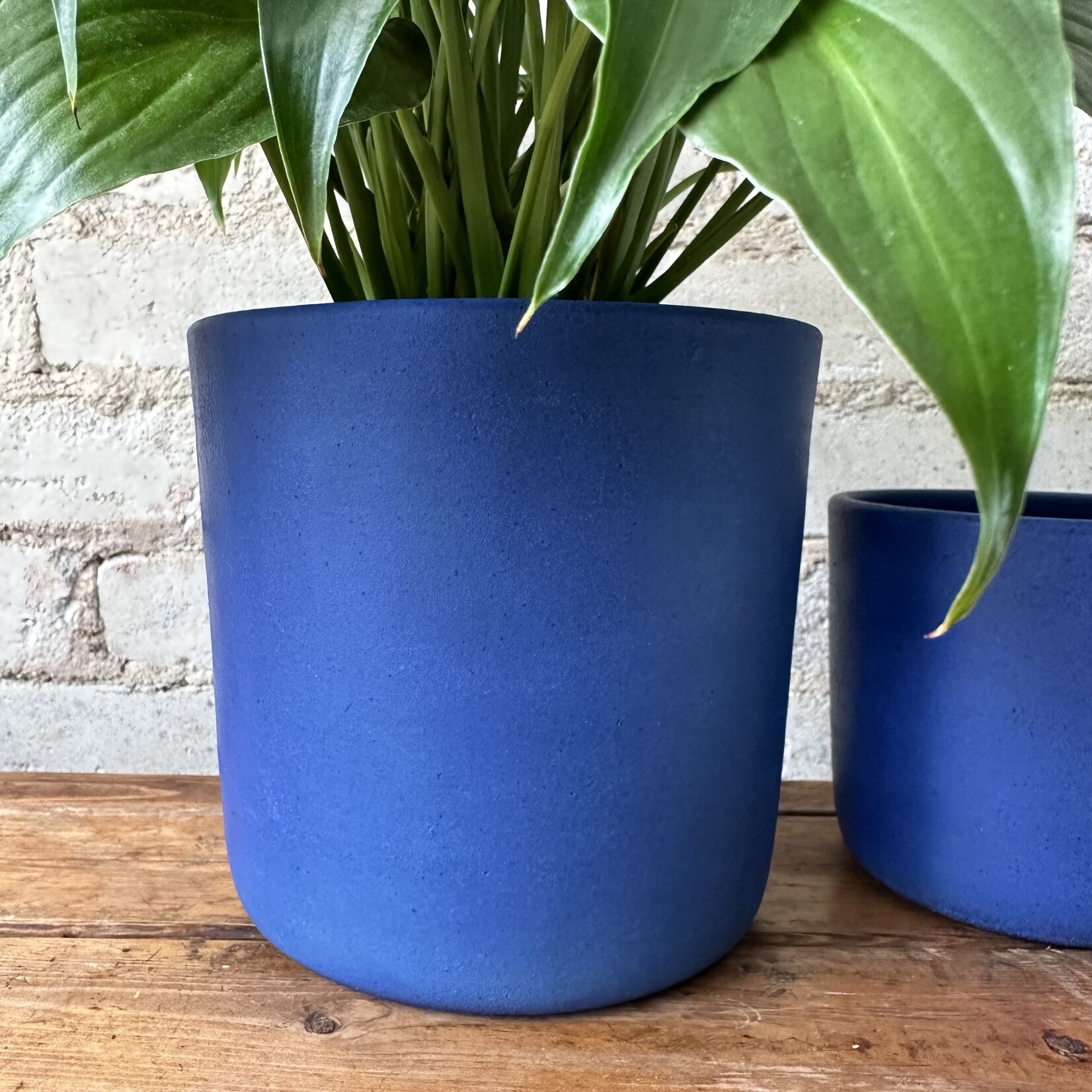 Jae Polgar Ceramics: Cobalt 6.25"