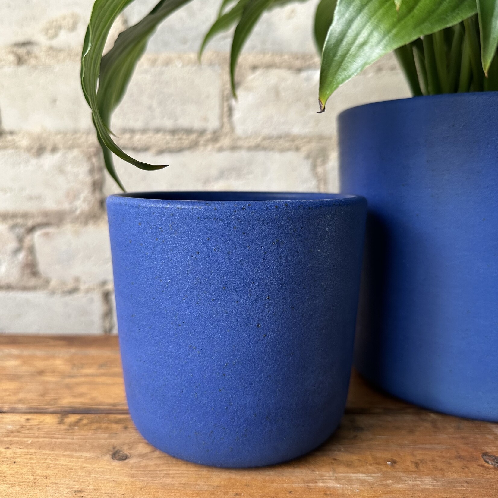 Jae Polgar Ceramics: Cobalt 4.5"