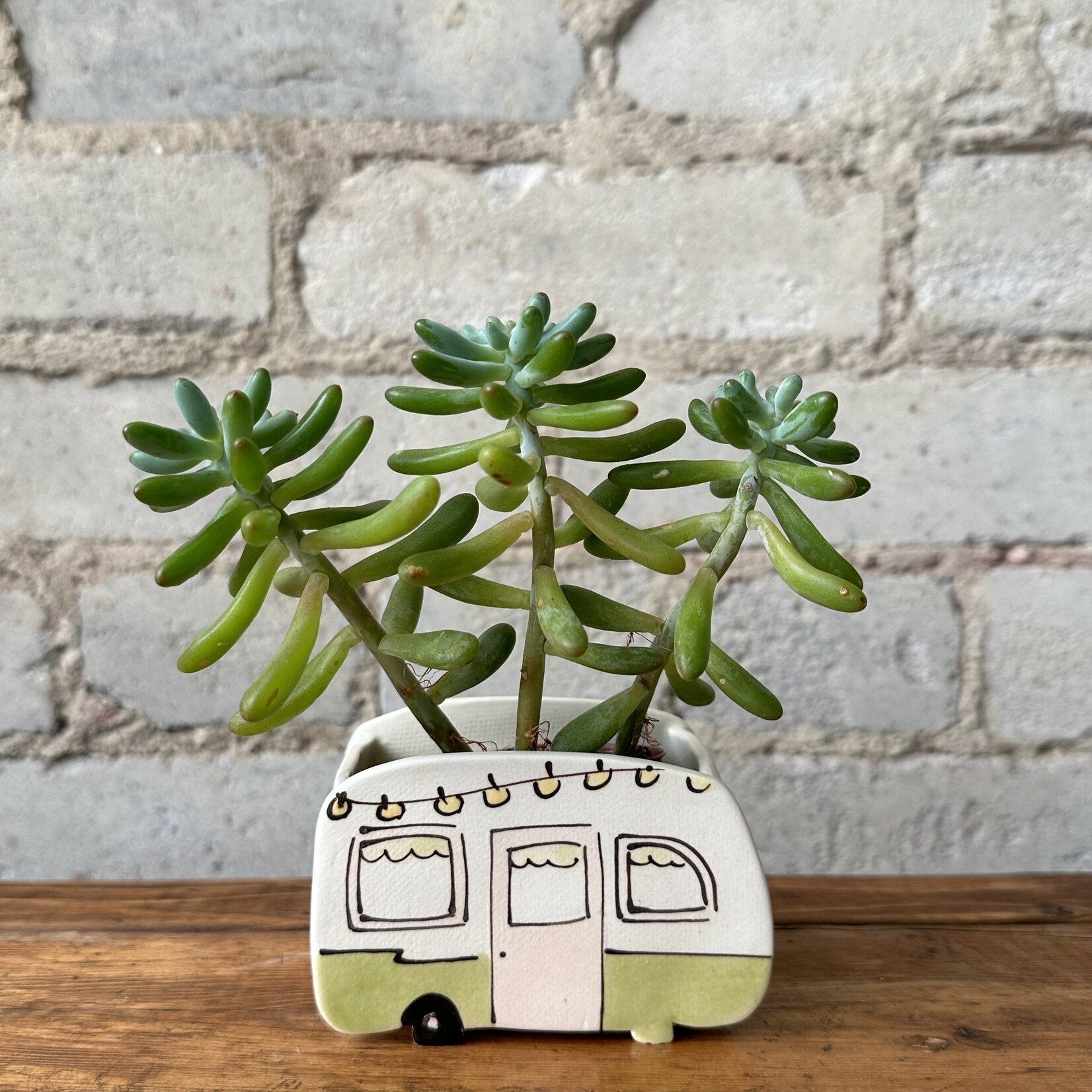 Julie Richard: Green Camper