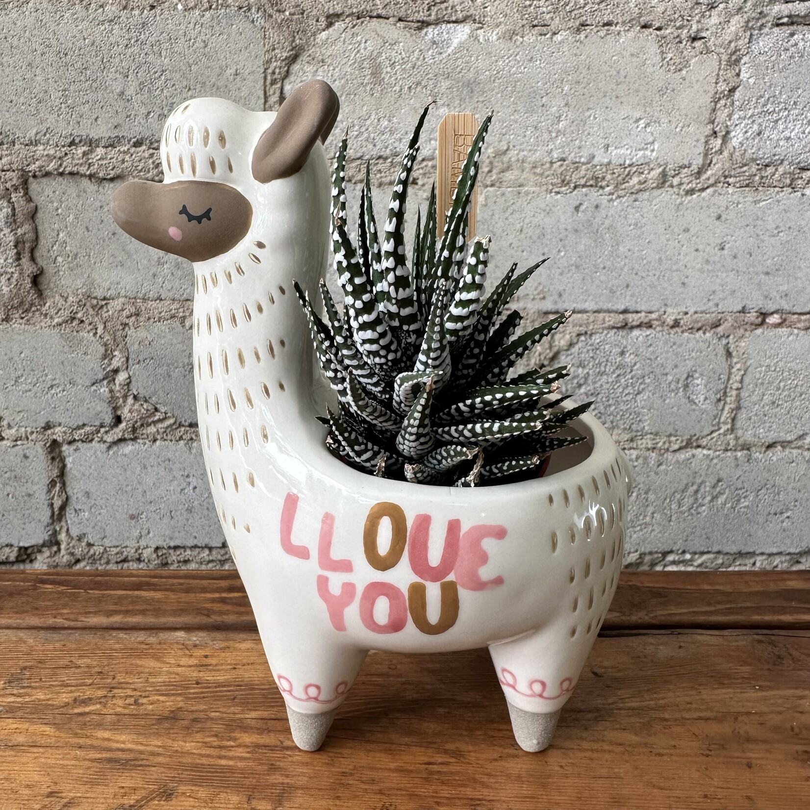 Assorted Pots LLama Pot (fits 3")