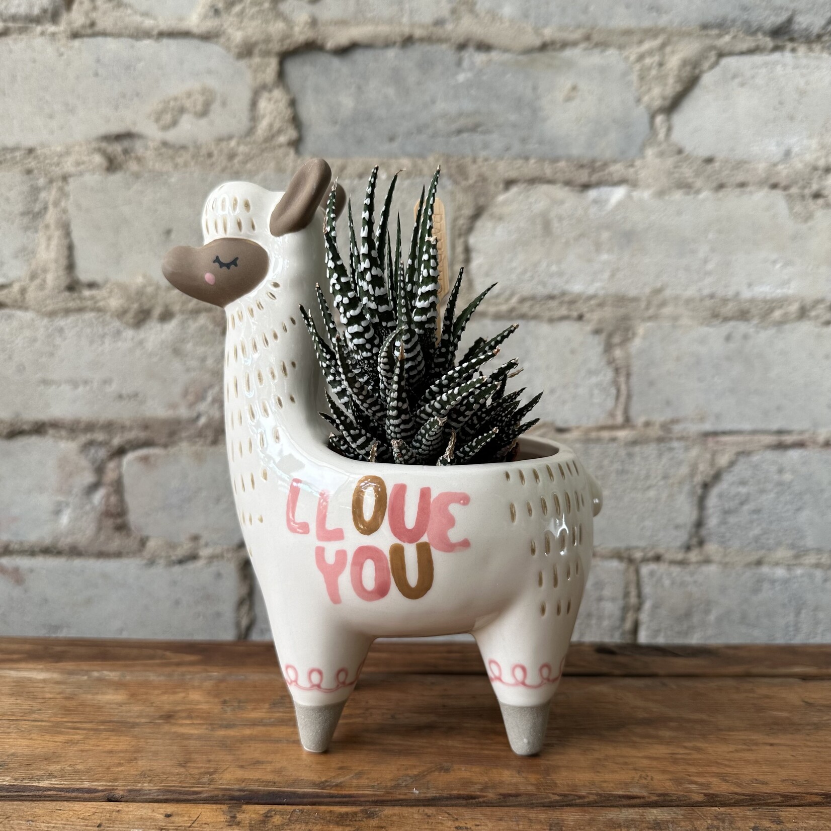 Assorted Pots LLama Pot (fits 3")