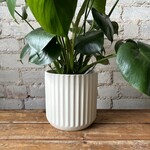 Assorted Pots Beam (fits 6") Off-White