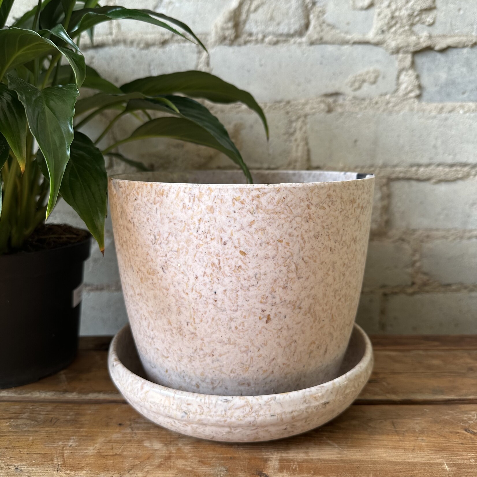 Kanso Designs Kanso Designs Rice Husk Pot with Saucer (fits 6.5")