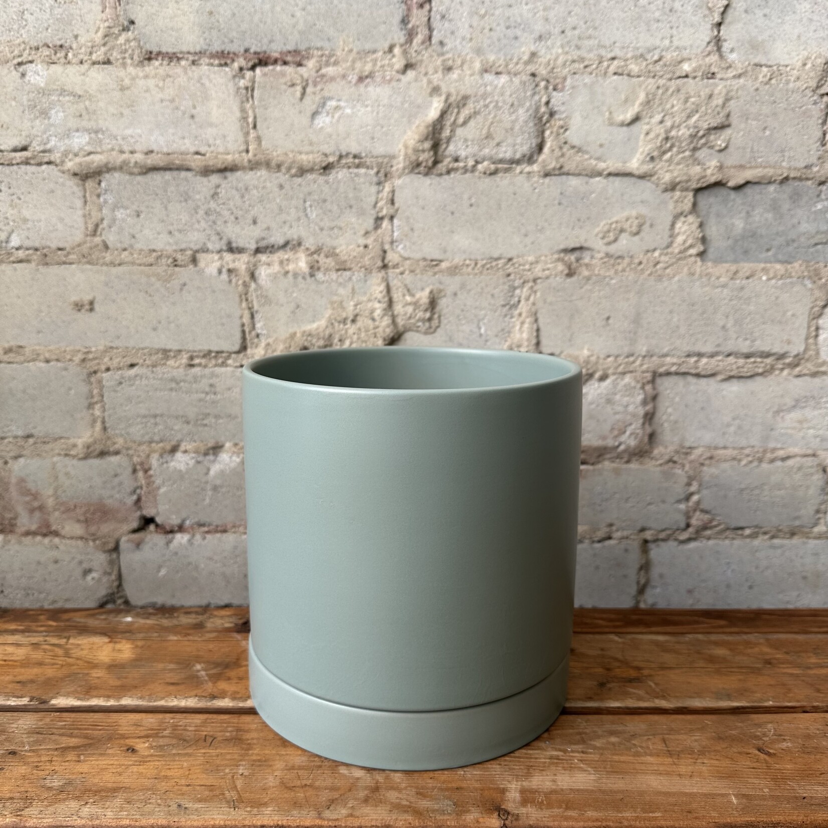 Romey Pot Sage (fits 6")