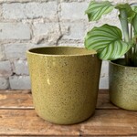 Jae Polgar Ceramics Speckled Slime 6.25"