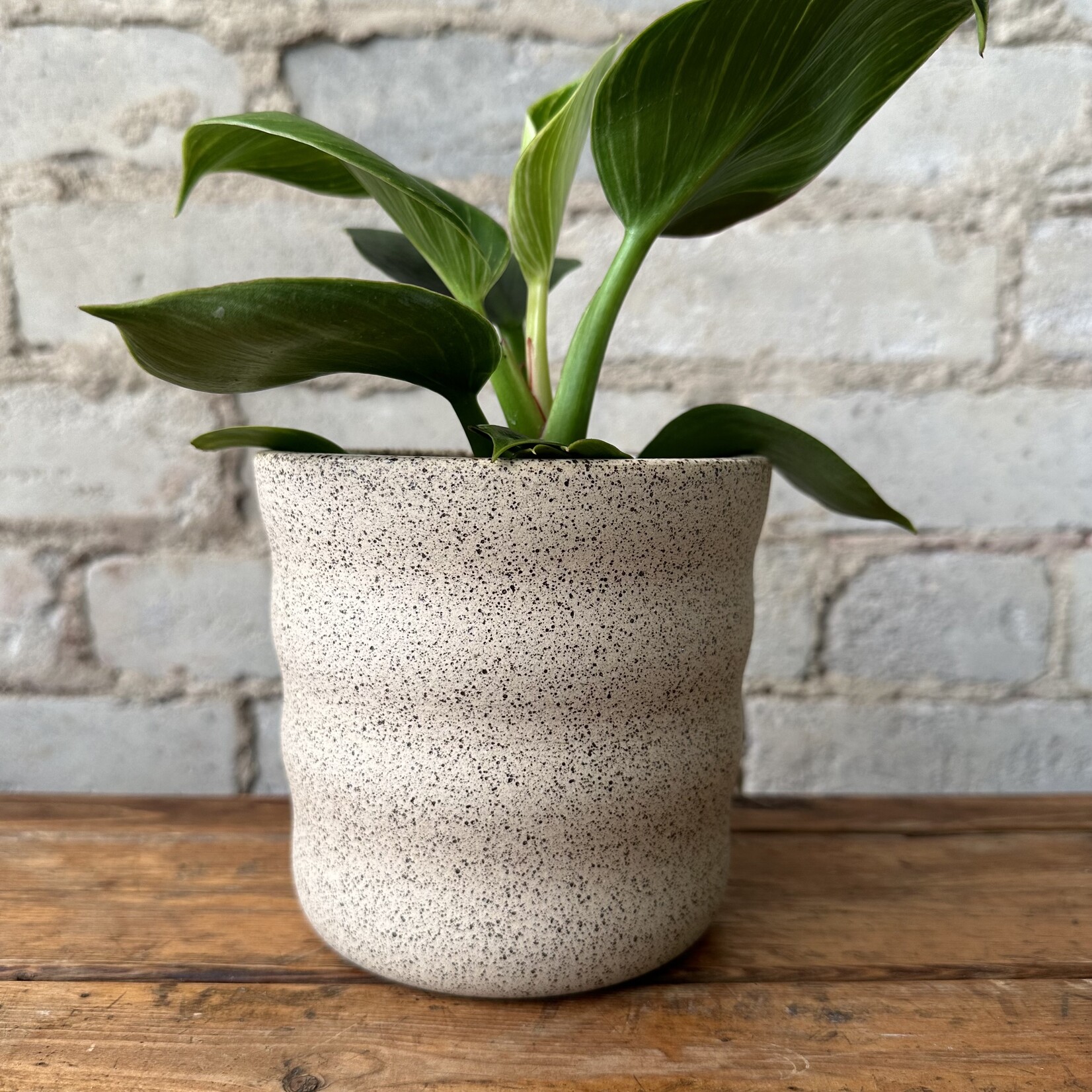 Jae Polgar Ceramics Cloud Neutral 4.5"