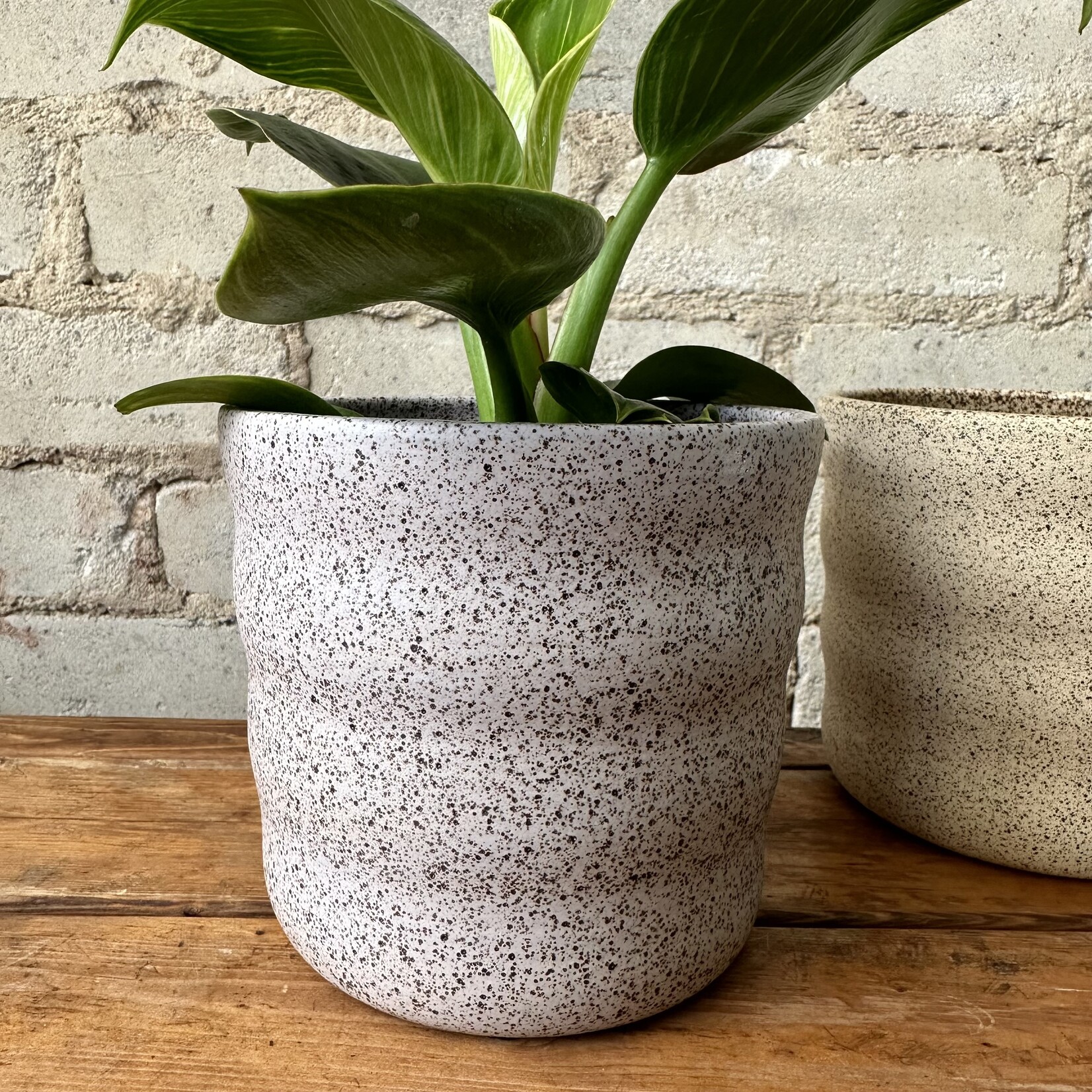Jae Polgar Ceramics Cloud Lavender 4.5"