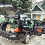 FAQ: How To Successfully Move With Plants