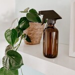 Pesky Pests And How To Deal: Spider Mites