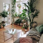 Have You Seen The Light? A Guide To Understanding Lighting Conditions In Your Home