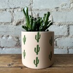 Assorted Pots Cali Pot (fits 4")