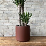 Assorted Pots Kendall Pot (fits 10") Brown