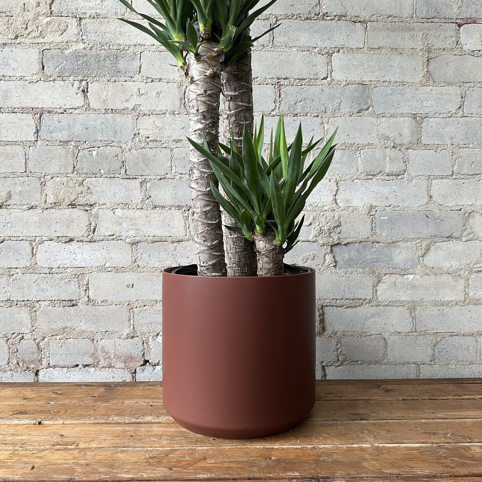 Kendall Pot fits 10" Brown