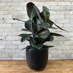 Assorted Pots Lana Pot (fits 10") Black