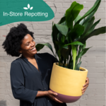 In-Store Repotting