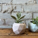 Homebody Collective: Geo Planter (fits 2.5") Pink