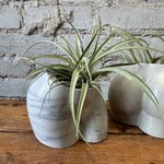 Homebody Collective: Body Planter (Marbled)