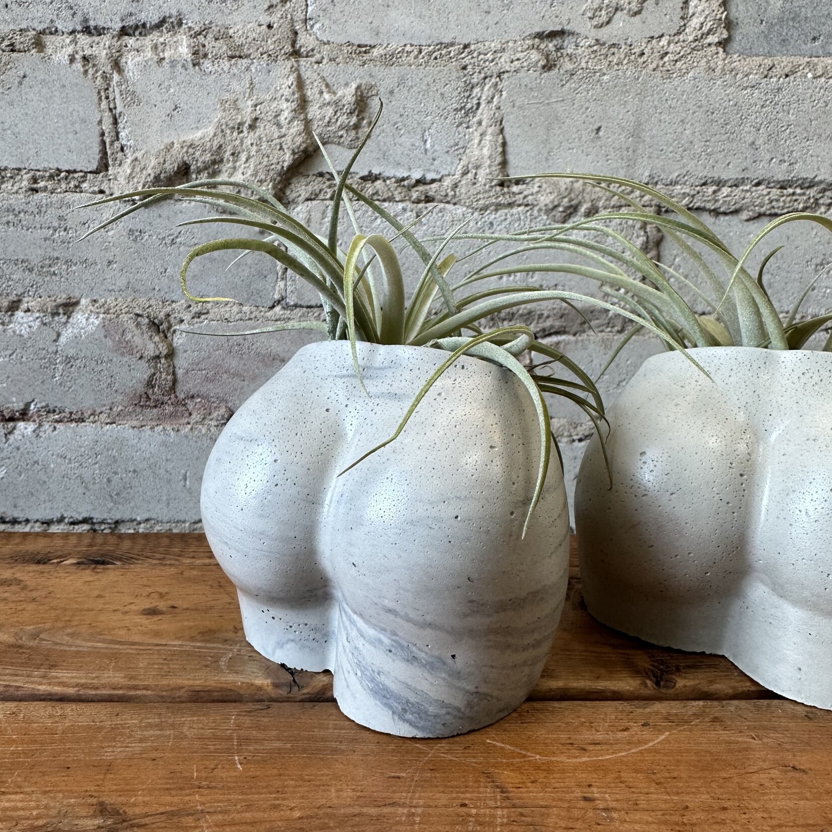 Homebody Collective: Body Planter (Marbled)