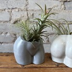 Homebody Collective: Body Planter (Charcoal)