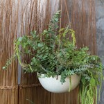Meja Hanging Pot (fits 10" HB)
