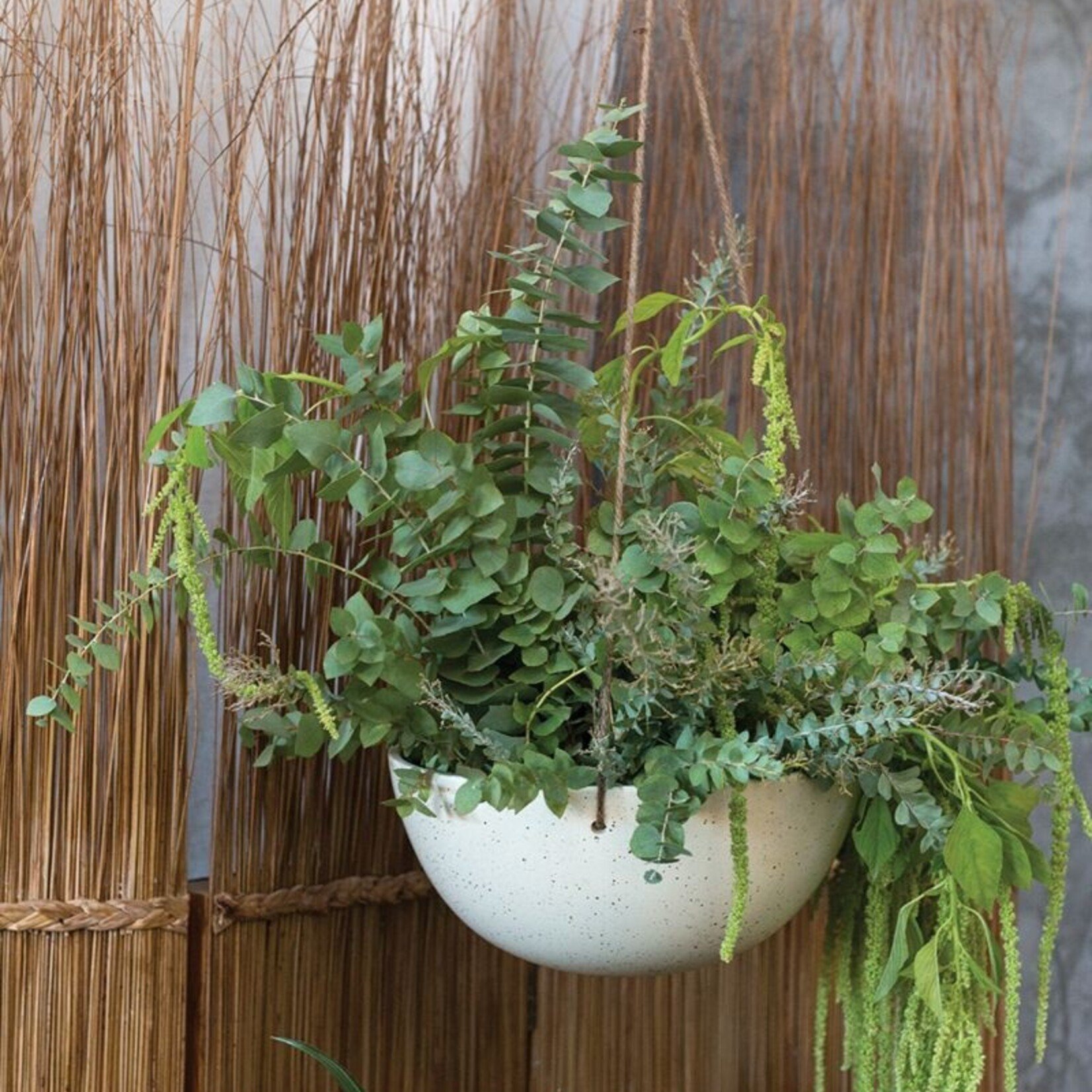Assorted Pots Meja Hanging Pot (fits 10" HB)
